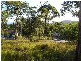 Woodrising NSW 2284