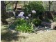 17 Bolton Close, Bolton Point NSW 2283