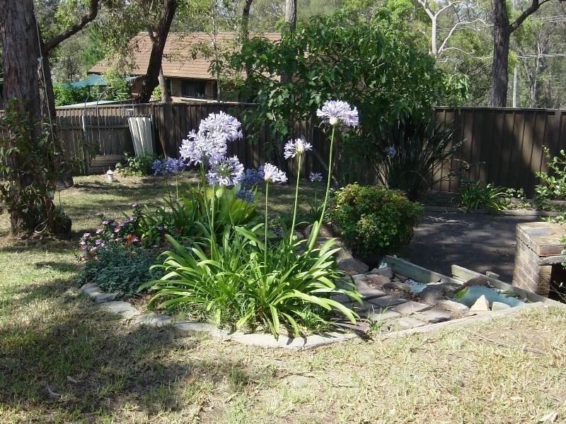 17 Bolton Close, Bolton Point NSW 2283