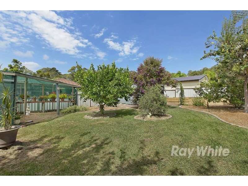 14 Bambara Street, Toronto NSW 2283
