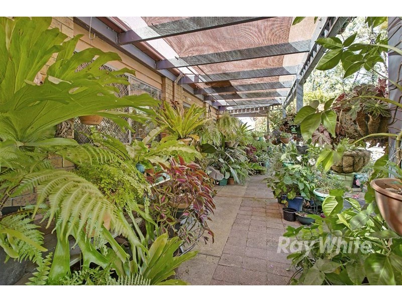 115 Donnelly Road, Arcadia Vale NSW 2283