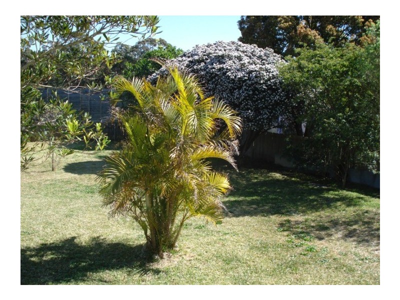 25 Blackbutt Parade, Kotara NSW 2289