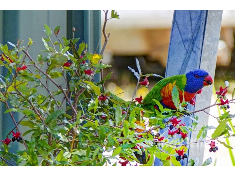 35 Tuloa Street, Wangi Wangi NSW 2267