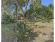 118 Fishing Point Road, Fishing Point NSW 2283