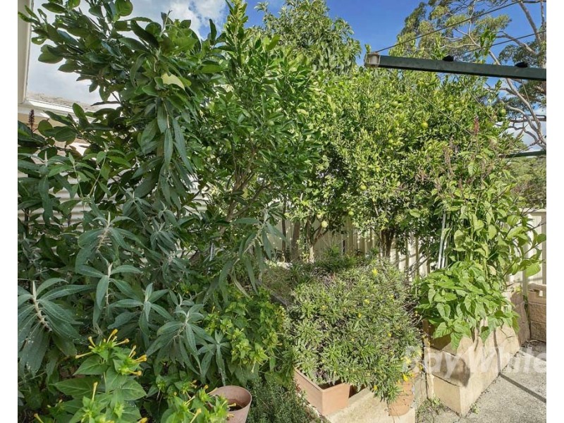 18 Fern Street, Arcadia Vale NSW 2283