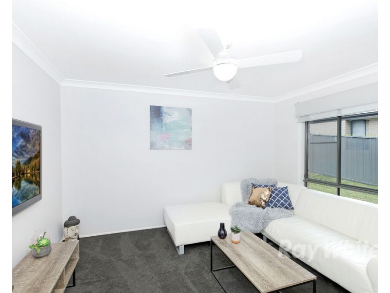 22 Pheasant Street, Toronto NSW 2283