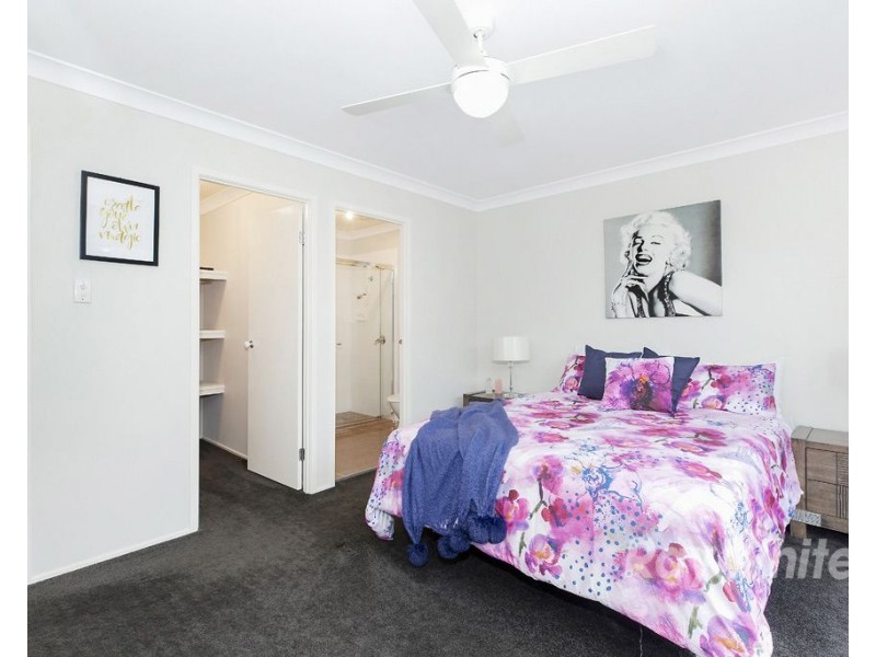 22 Pheasant Street, Toronto NSW 2283