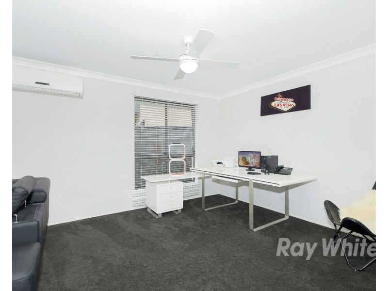 22 Pheasant Street, Toronto NSW 2283