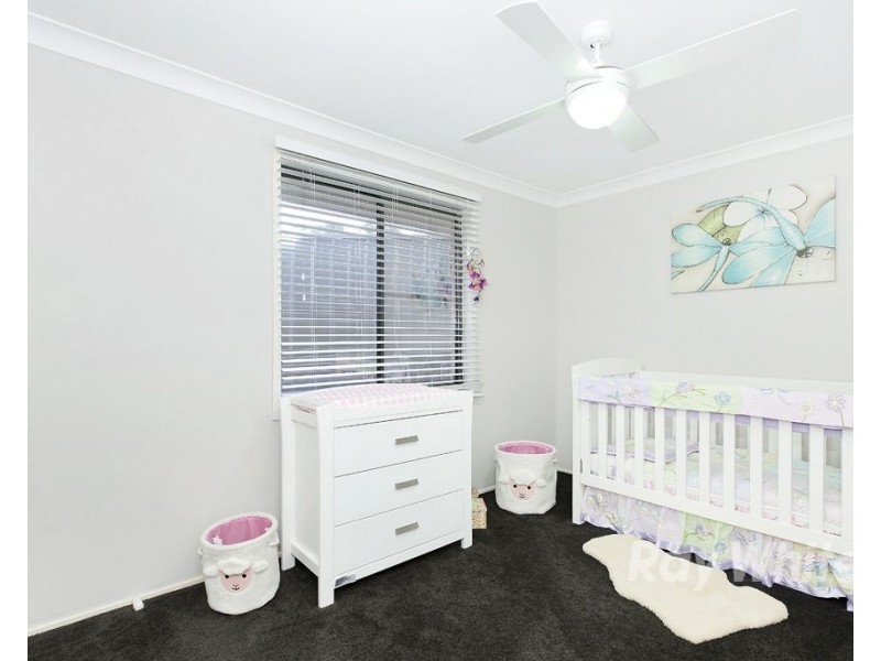 22 Pheasant Street, Toronto NSW 2283