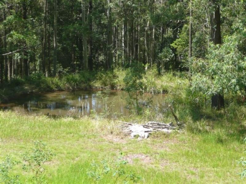 1479 Leggetts Drive, Brunkerville NSW 2323