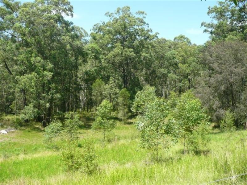 1479 Leggetts Drive, Brunkerville NSW 2323