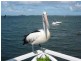 207 Fishing Point Road, Fishing Point NSW 2283