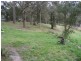 34 Leiberts Lane, Brunkerville NSW 2323