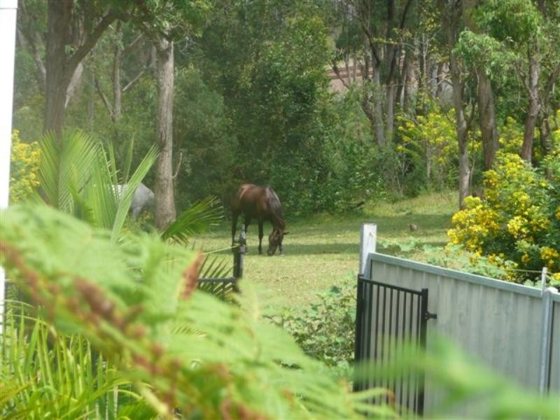 8a Heaton Street, Awaba NSW 2283
