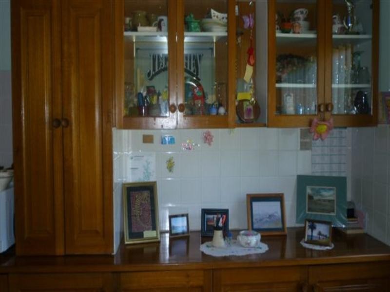 13 Galbraith Avenue, Toronto NSW 2283