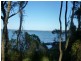 Wangi Wangi NSW 2267