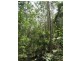 Freemans Waterhole NSW 2323