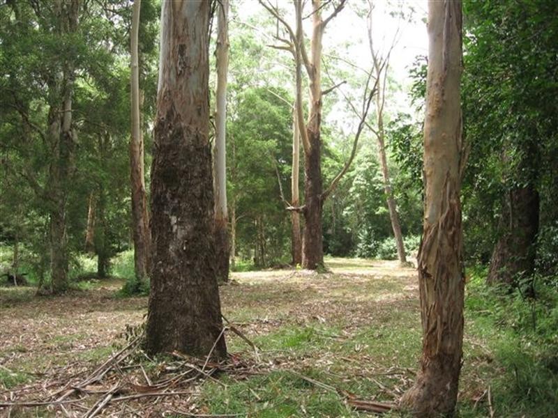 Freemans Waterhole NSW 2323