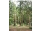 Freemans Waterhole NSW 2323