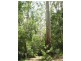 Freemans Waterhole NSW 2323
