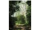 Freemans Waterhole NSW 2323