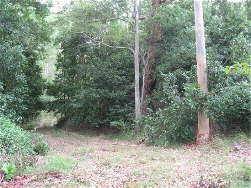 Freemans Waterhole NSW 2323