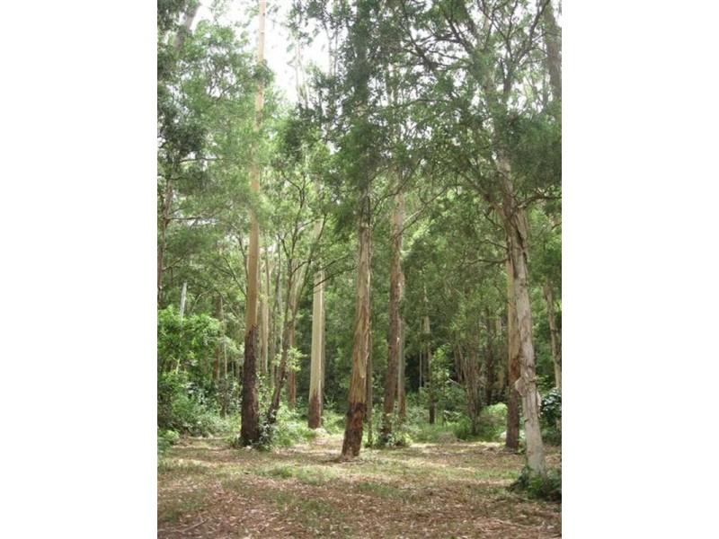 Freemans Waterhole NSW 2323