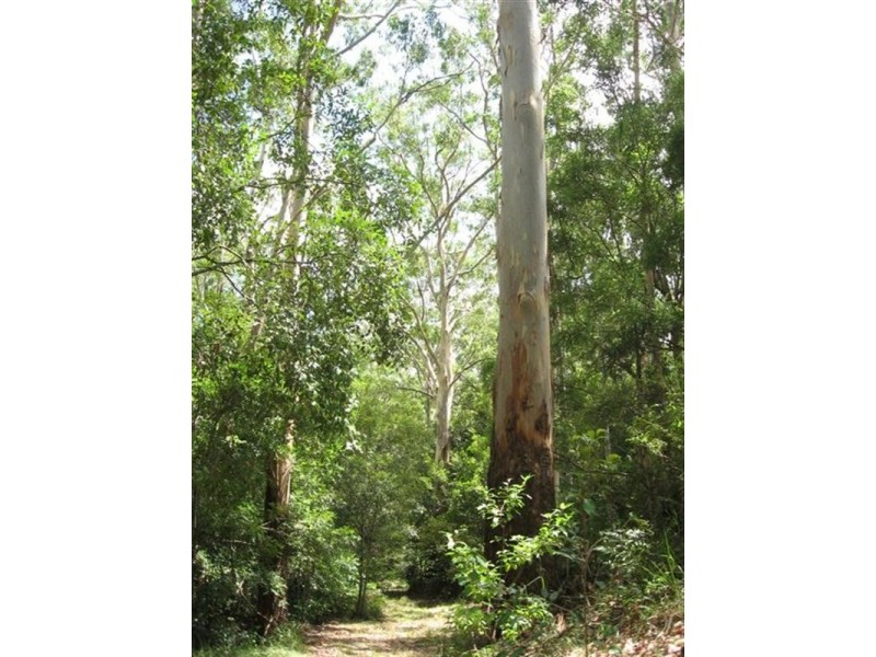 Freemans Waterhole NSW 2323