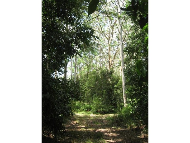 Freemans Waterhole NSW 2323