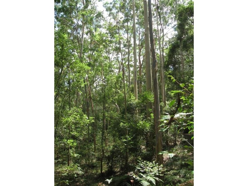 Freemans Waterhole NSW 2323