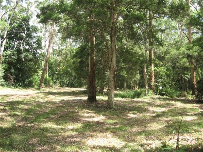 Freemans Waterhole NSW 2323