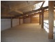 9 Elford Street, Toronto NSW 2283