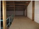 9 Elford Street, Toronto NSW 2283