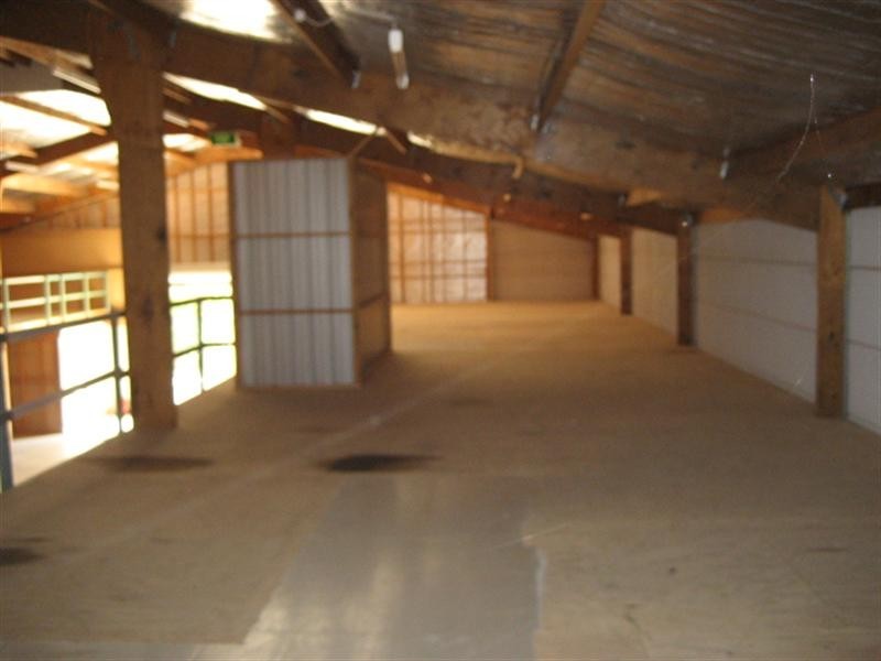 9 Elford Street, Toronto NSW 2283