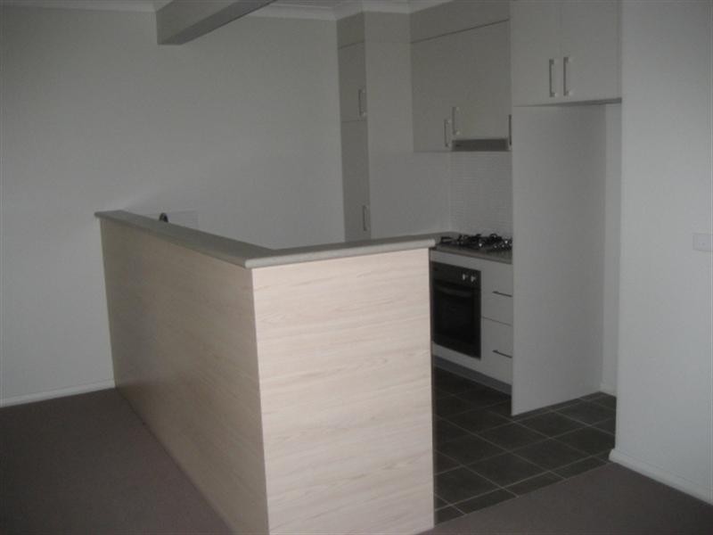 1 Kestrel Circuit, Shortland NSW 2307