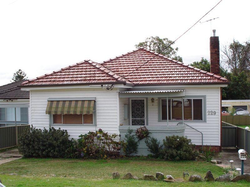 229 Brighton Avenue, Toronto NSW 2283