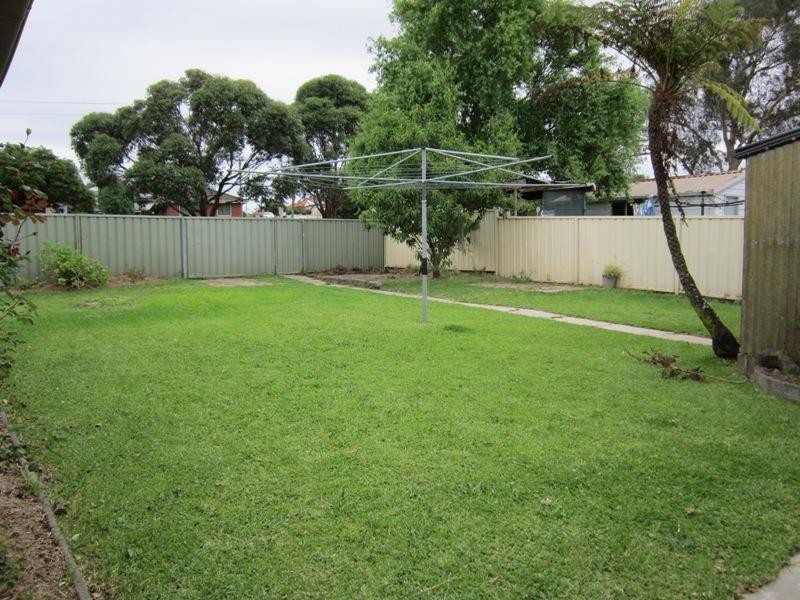 157 Wilkinson Avenue, Birmingham Gardens NSW 2287