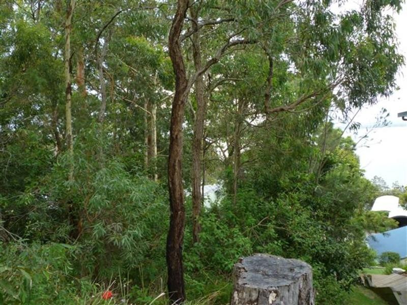 Wangi Wangi NSW 2267