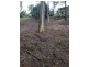 Coal Point NSW 2283