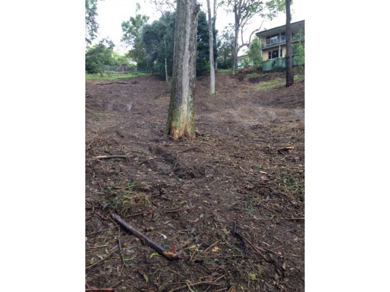 Coal Point NSW 2283