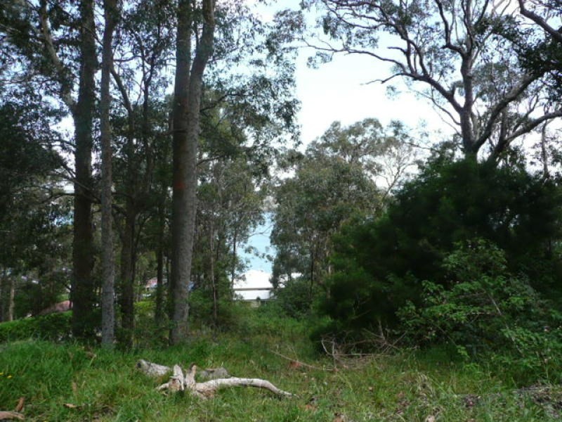 Coal Point NSW 2283