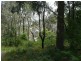 Coal Point NSW 2283