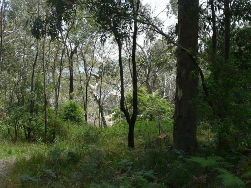 Coal Point NSW 2283