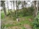 102 Beach Road, Wangi Wangi NSW 2267