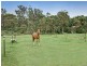 Awaba NSW 2283