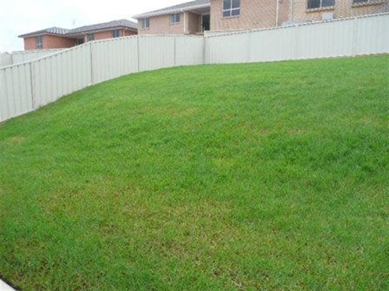 24 Northridge Drive, Cameron Park NSW 2285