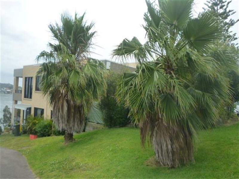 1/36 Sealand Road, Fishing Point NSW 2283