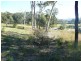 Toronto NSW 2283