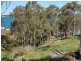 Coal Point NSW 2283