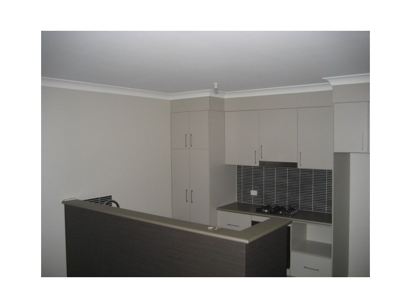 41 Kestrel Circuit, Shortland NSW 2307